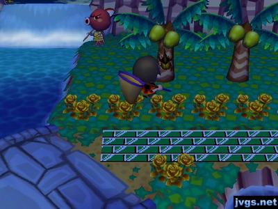 Me sneaking up on a Hercules beetle.