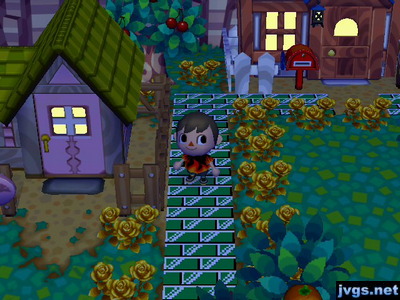 The new villager house near my own.
