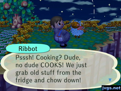 Ribbot: Psssh! Cooking? Dude, no dude COOKS! We just grab old stuff from the fridge and chow down!