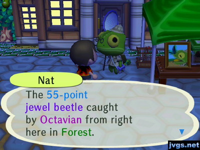 Nat: The 55-point jewel beetle caught by Octavian from right here in Forest.
