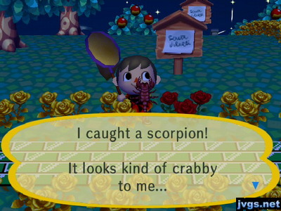 I caught a scorpion! It looks kind of crabby to me...