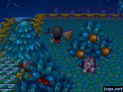 Me slowly creeping up to a scorpion with my net out.