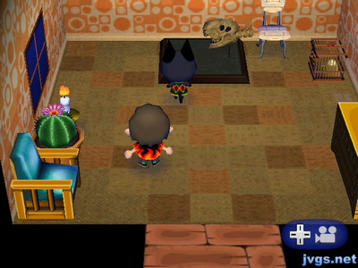 Kiki faces the fossil stand behind her, with her black head blending in with the black fossil stand.