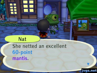 Nat: She netted an excellent 60-point mantis.