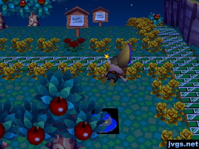 Me passed out on the ground after being stung by a scorpion.