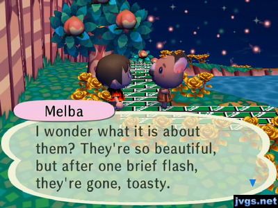 Melba: I wonder what it is about them? They're so beautiful, but after one brief flash, they're gone, toasty.