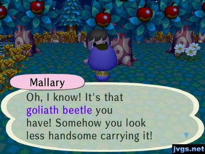 Mallary: Oh, I know! It's that goliath beetle you have! Somehow you look less handsome carrying it!