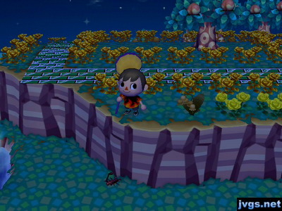 Me standing on the top of the cliff, with a scorpion down below unable to reach me.