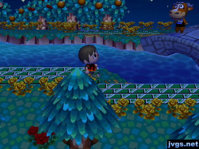 Angus standing on the bridge, looking over the edge.