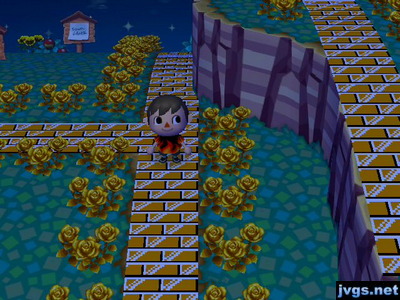 My orange brick paths.