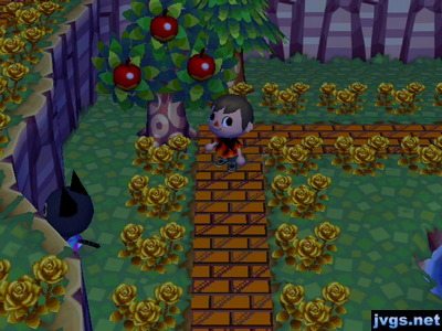 Kiki standing still, facing the cliff.