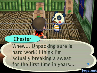 Chester: Whew... Unpacking sure is hard work! I think I'm actually breaking a sweat for the first time in years...