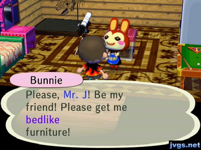 Bunnie: Please, Mr. J! Be my friend! Please get me bedlike furniture!