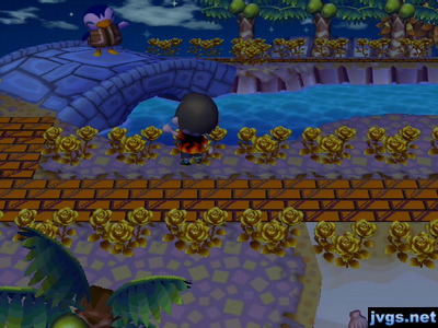 Me waving to Friga, who was standing on the bridge.