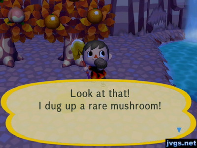 Look at that! I dug up a rare mushroom!