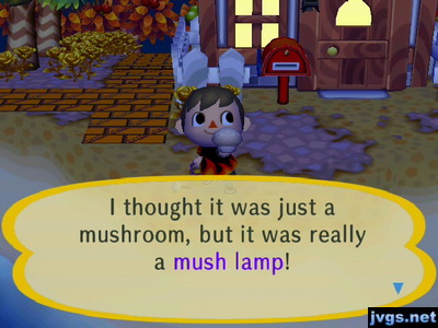 I thought it was just a mushroom, but it was really a mush lamp!