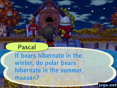 Pascal: If bears hibernate in the winter, do polar bears hibernate in the summer, maaaan?