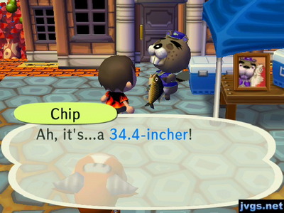 Chip: Ah, it's...a 34.4 incher!