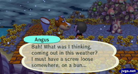 Angus: Bah! What was I thinking, coming out in this weather? I must have a screw loose somewhere, on a bun...