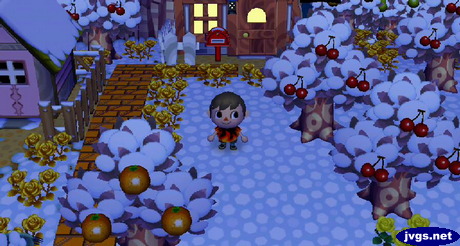 Snow appears on the ground, trees, and the roof of a nearby house.