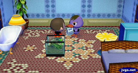 Handing some medicine to Mallary the sick duck.