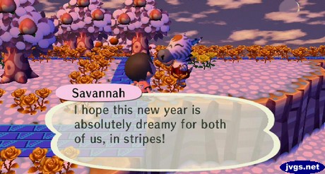 Savannah: I hope this new year is absolutely dreamy for both of us, in stripes!