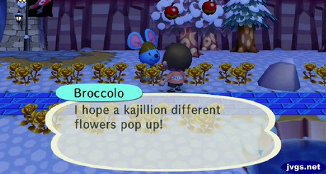 Broccolo, surrounded by gold roses: I hope a kajillion different flowers pop up!