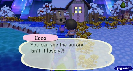 Coco: You can see the aurora! Isn't it lovely?!