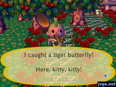 I caught a tiger butterfly! Here, kitty, kitty!