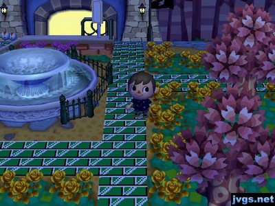 Two pink trees near my fountain.