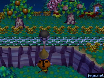 Me standing on a cliff and trying to use my net to catch fleas off of Rowan down below.