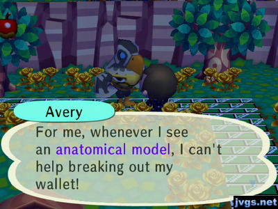 Avery: For me, whenever I see an anatomical model, I can't help breaking out my wallet!