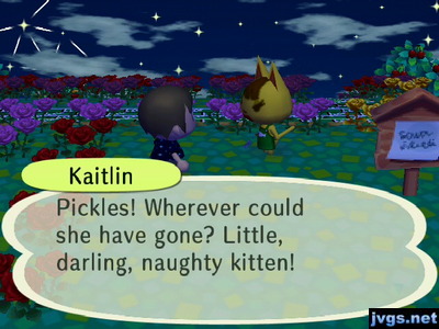 Kaitlin: Pickles! Wherever could she have gone? Little, darling, naughty kitten!