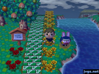 Snake looks angry while in a pitfall near the river.