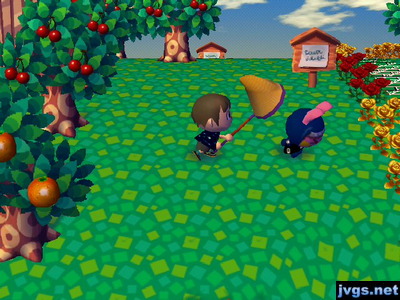 Hitting Snake with a net.