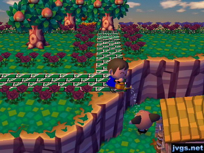 I stand on a cliff and sprinkle water on Melba down below.