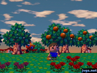 Caroline peeks out from behind a tree during a game of hide-and-seek.