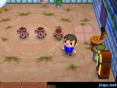 The western desert carpeting on display in my house.