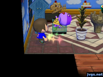 Bob flips as he takes some medicine.