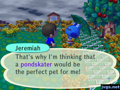 Jeremiah: That's why I'm thinking that a pondskater would be the perfect pet for me!