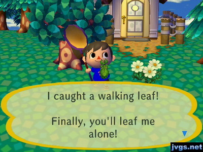 I caught a walking leaf! Finally, you'll leaf me alone!