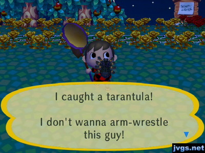 I caught a tarantula! I don't wanna arm-wrestle this guy!