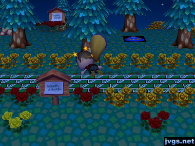 Me passed out with my head lying against a tree, after I was bitten by a tarantula.