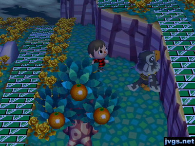 Avery standing, facing the cliff.