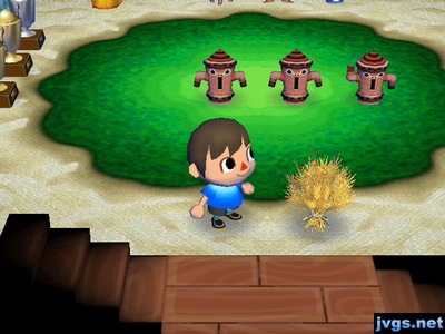 The wheat bundle as seen in my house.