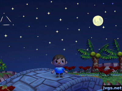 The autumn moon, also known as the harvest moon, in Animal Crossing: City Folk.