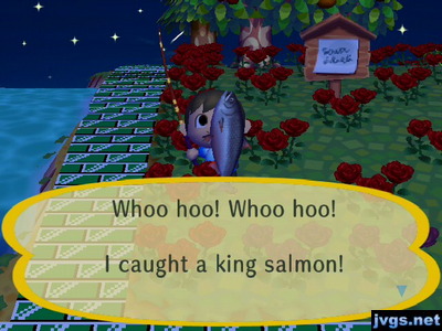 Whoo hoo! Whoo hoo! I caught a king salmon!