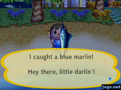 I caught a blue marlin! Hey there, little darlin'!