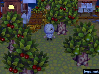 Me wearing my mummy outfit for Halloween.