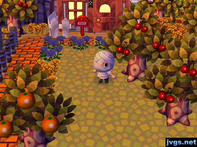 The yellowish grass of mid-October.